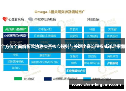 全方位全面解析欧协联决赛核心规则与关键比赛流程权威详尽指南